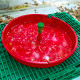 kit_phéromone_watertrap_mineuse_tomate