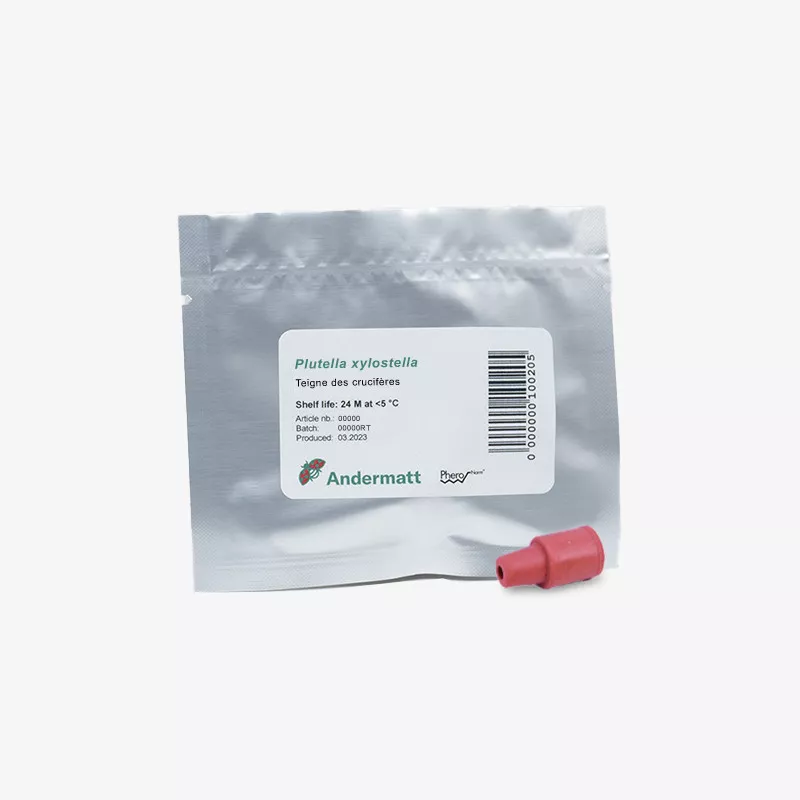 phéromone_teigne_mineuse_des_pousses_de_lavatère