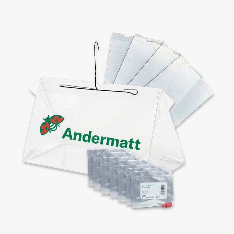 KIT SAISON Phéromone Mineuse  Tomate