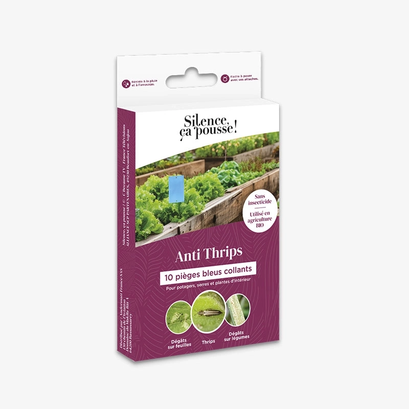10 pièges collants bleus silence ca pousse andermatt france