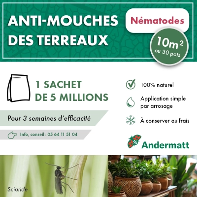 Nématodes pour mouches du terreau 5M