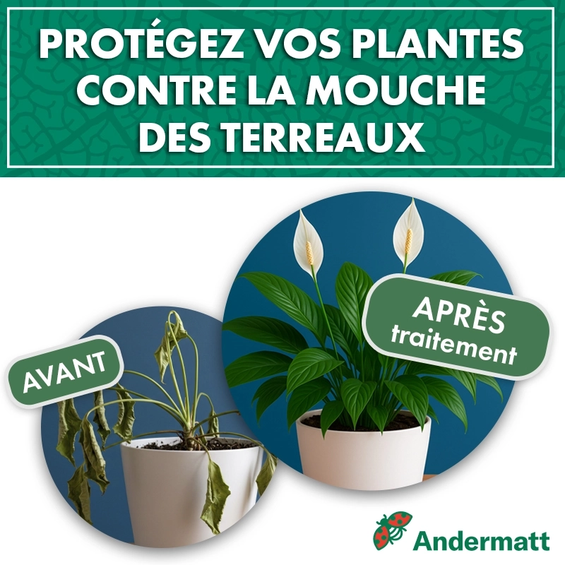 Nématodes pour mouches du terreau 5M