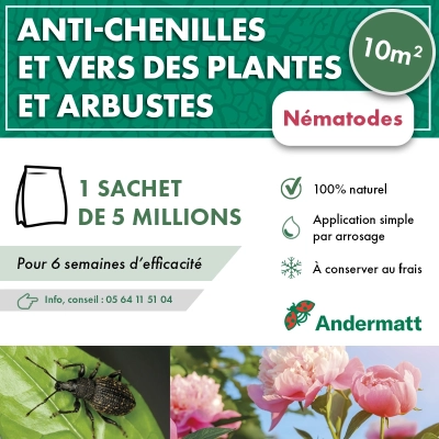 Nématodes pour Plantes et Arbustes 5M