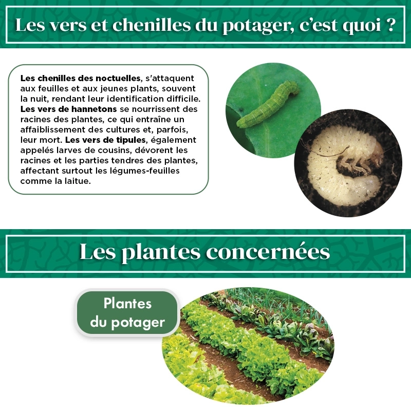 Nématodes  Mix pour Potager (2 x 50 millions)