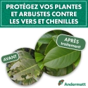 Nématodes pour Plantes et Arbustes 50M