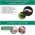 Nématodes pour Plantes et Arbustes 50M