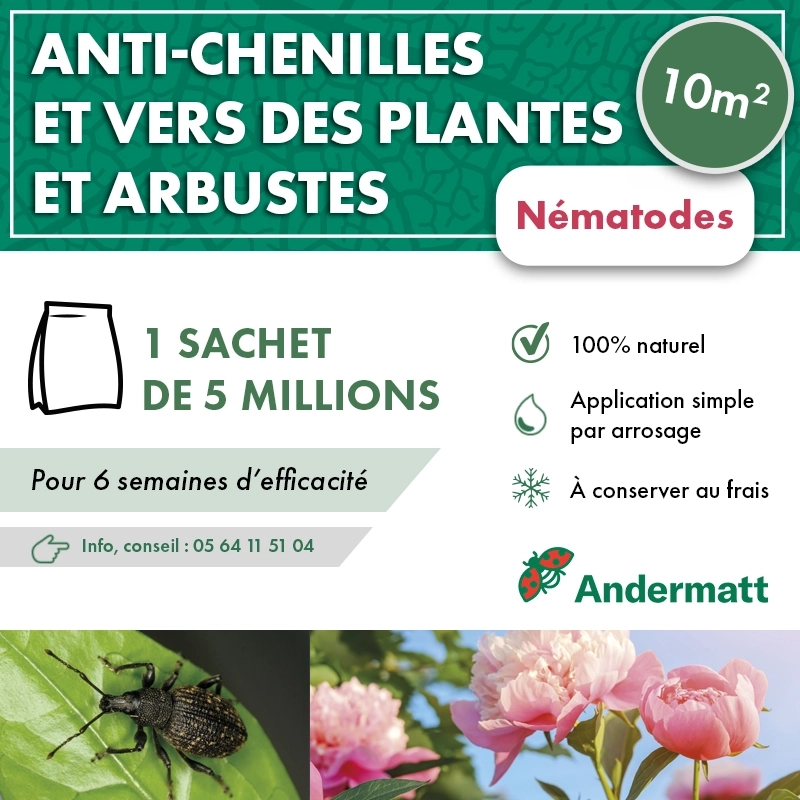 Nématodes pour Plantes et Arbustes 5M