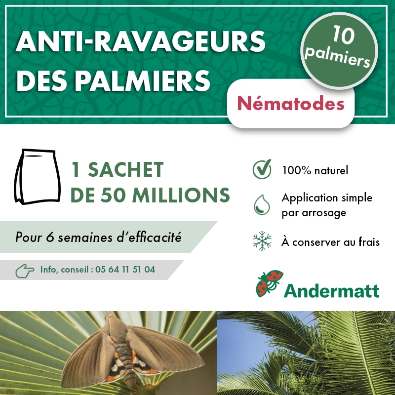 Nématodes pour Palmier 50 M