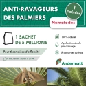 Nématodes pour palmier 5 M