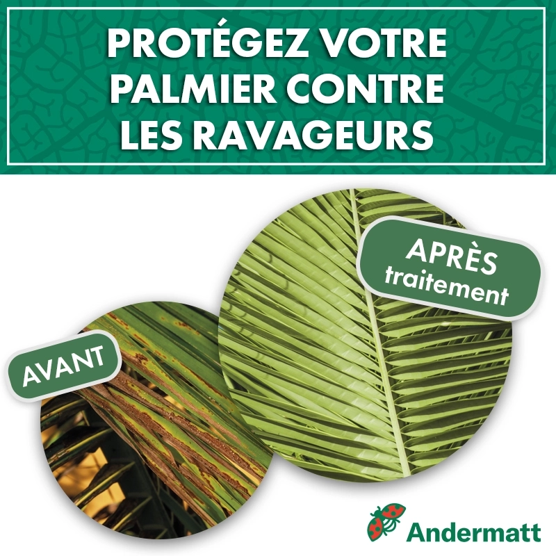 Nématodes pour palmier 5 M