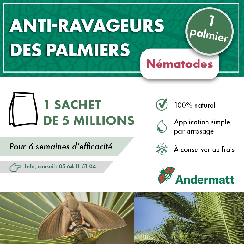 Nématodes pour gazon 5 M