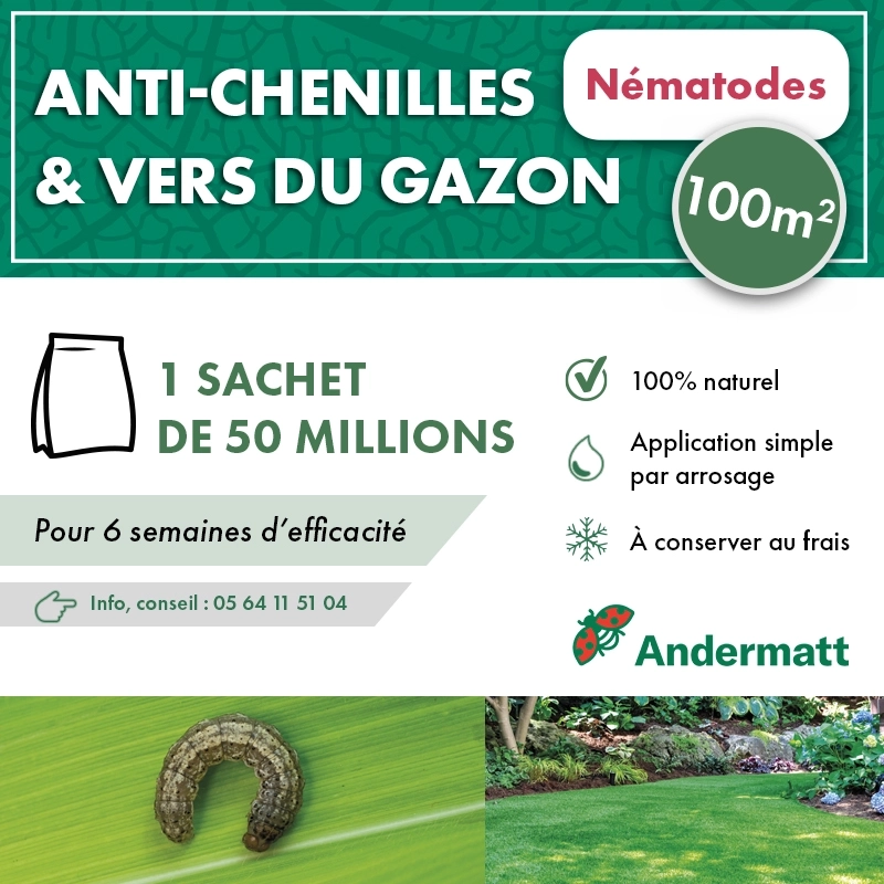 Nématodes pour gazon 50 M