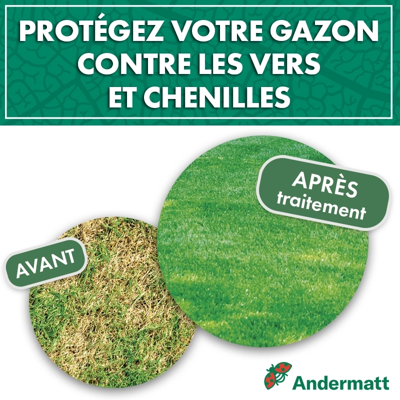 Nématodes pour gazon 50 M