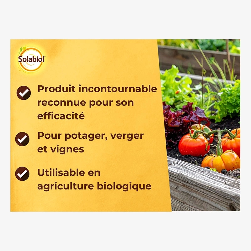 Bouillie Bordelaise non colorée 200gr