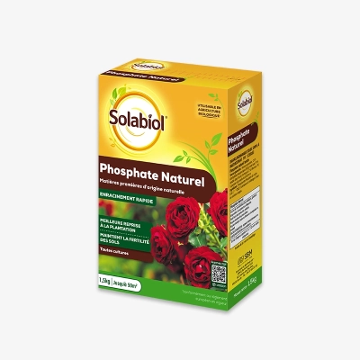 anhydride_phosphorique_engrais