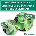 kit_pheromone_duponchelia_fovealis_andermatt