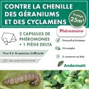 kit_pheromone_duponchelia_fovealis_andermatt