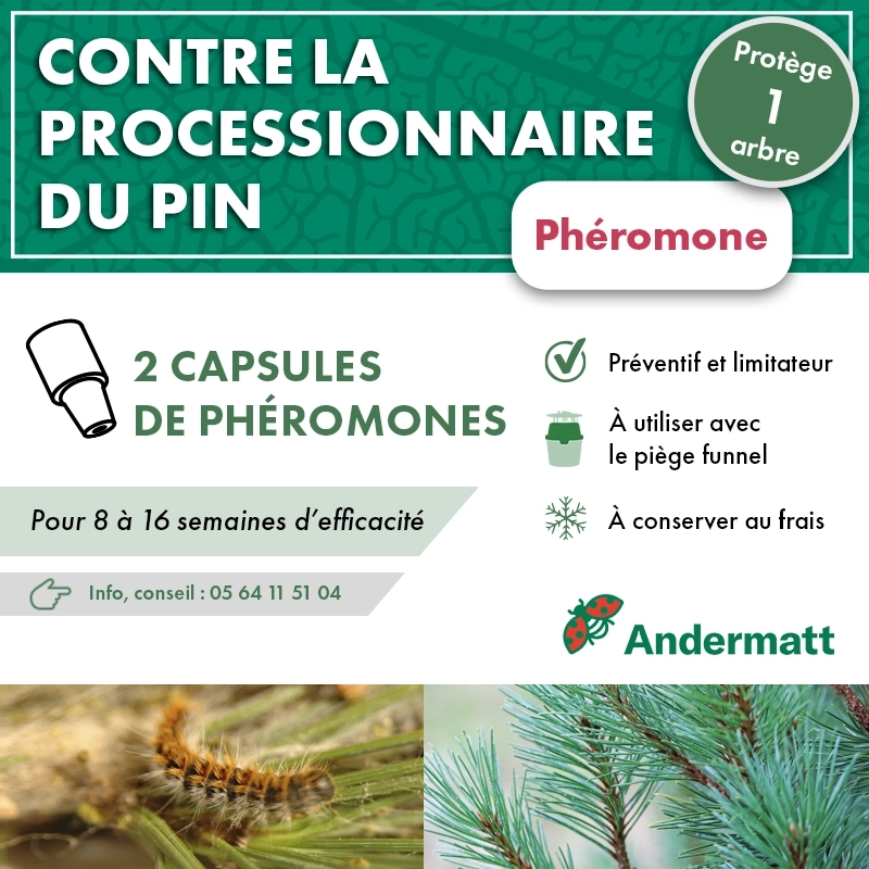 pheromone_cossus_gâte-bois-andermatt