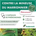 pheromone_mineuse_du_marronnier_andermatt