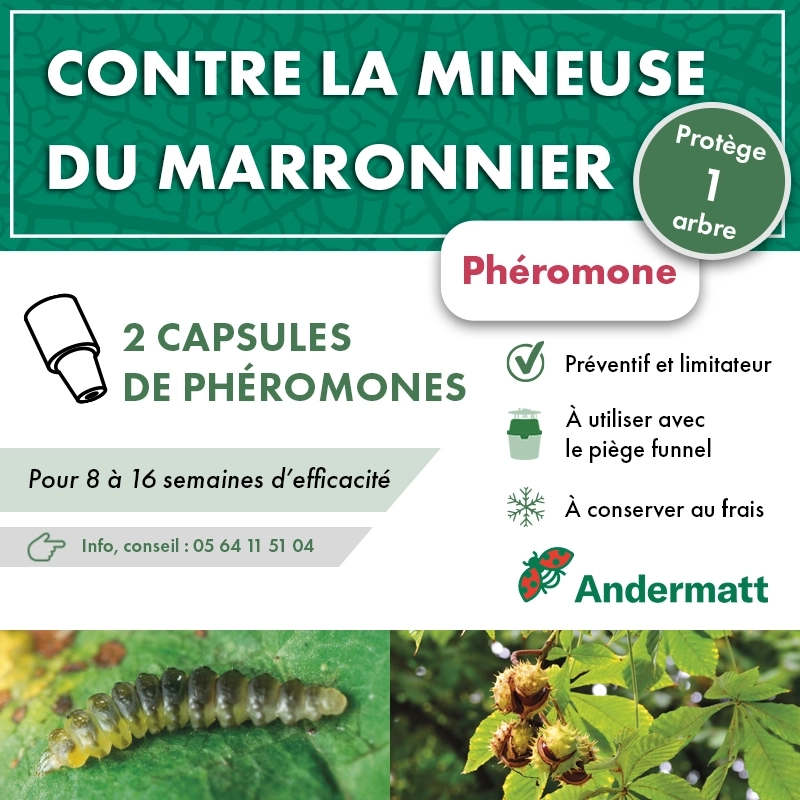 pheromone_mineuse_du_marronnier_andermatt