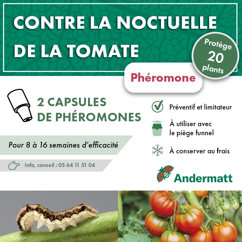 pheromone_heliothis_noctuelle_de_la_tomate_andermatt