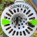 Piège à frelons asiatiques Ornetin UV