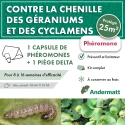 kit_pheromone_duponchelia_fovealis_andermatt