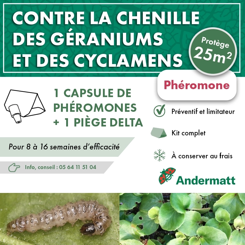 kit_pheromone_duponchelia_fovealis_andermatt