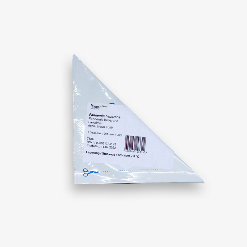 Phéromone Tordeuse de la pelure Pandémis Piège insectes