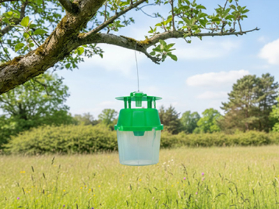 Comprendre & utiliser les phéromones